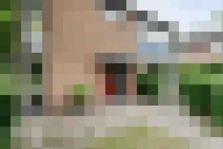 Prinsenlaan 61 Emmen thumbnail 7