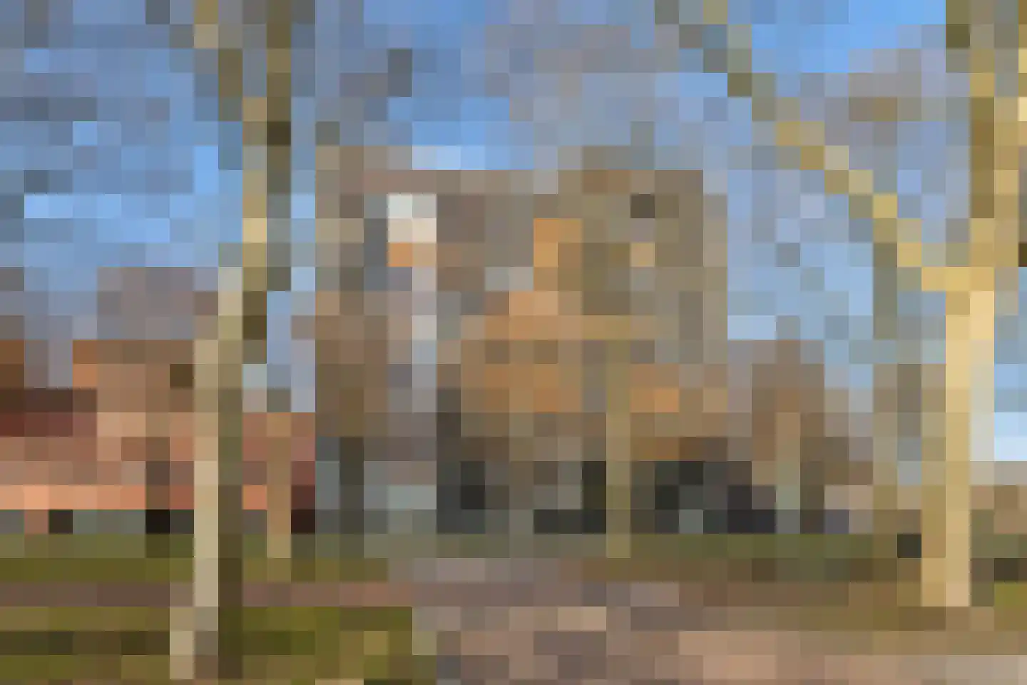 Prinsenlaan 615 C Rotterdam thumbnail 4