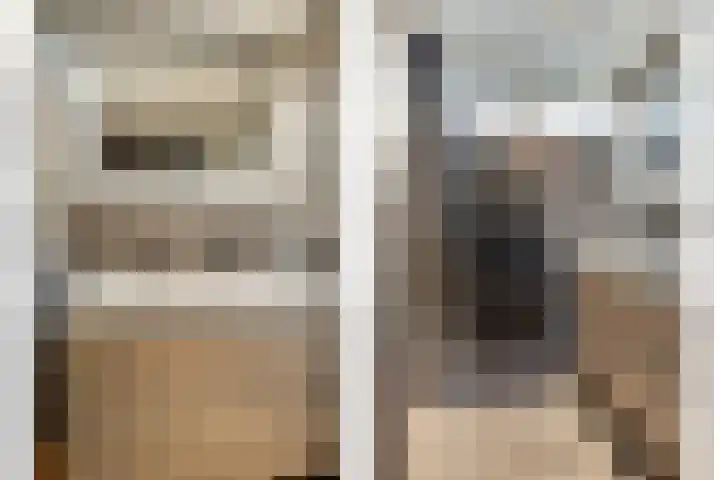 Prinsenlaan 62 Scherpenzeel thumbnail 12