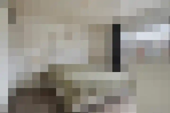 Prinsenlaan 62 Scherpenzeel thumbnail 13