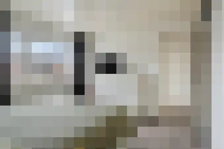 Prinsenlaan 62 Scherpenzeel thumbnail 14