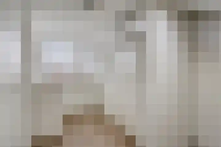 Prinsenlaan 62 Scherpenzeel thumbnail 18