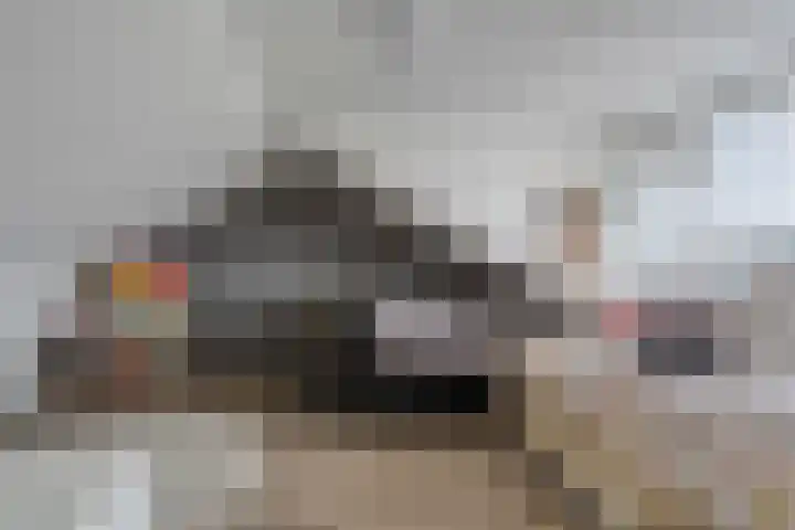 Prinsenlaan 62 Scherpenzeel thumbnail 19