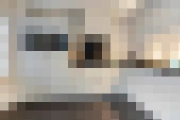 Prinsenlaan 62 Scherpenzeel thumbnail 8