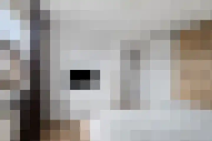 Prinsenlaan 64 Scherpenzeel thumbnail 13