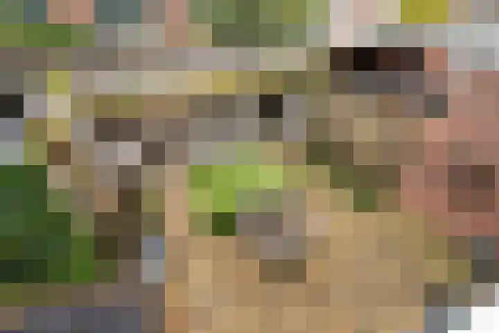 Prinsenlaan 64 Scherpenzeel thumbnail 15