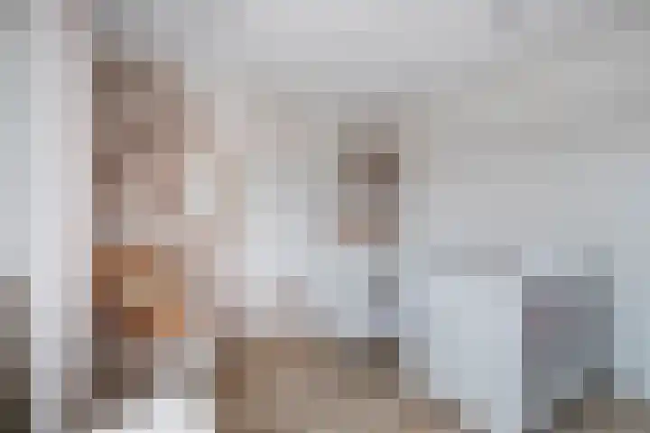 Prinsenlaan 64 Scherpenzeel thumbnail 20