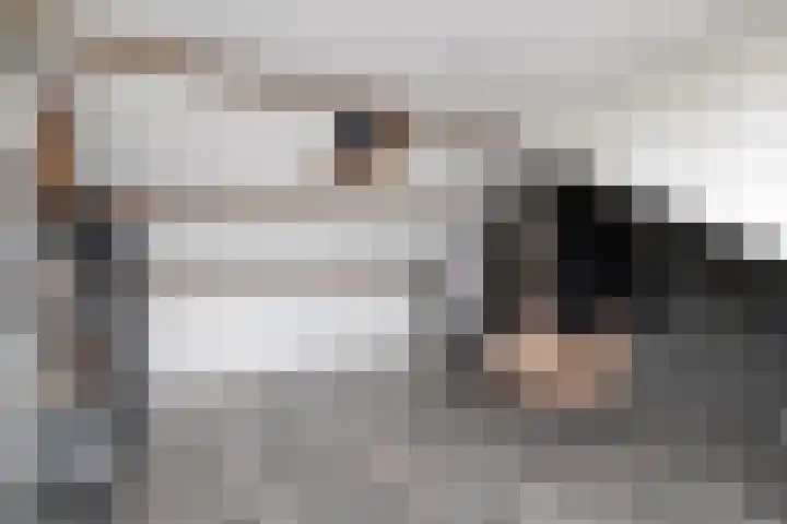 Prinsenlaan 64 Scherpenzeel thumbnail 23