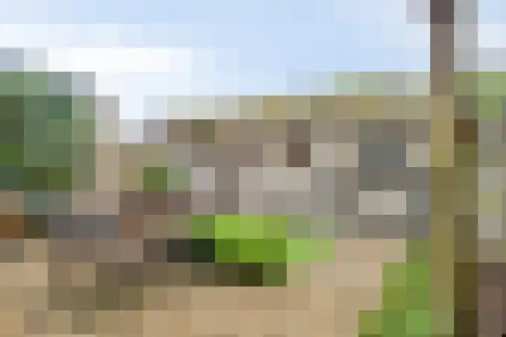 Prinsenlaan 64 Scherpenzeel thumbnail 25