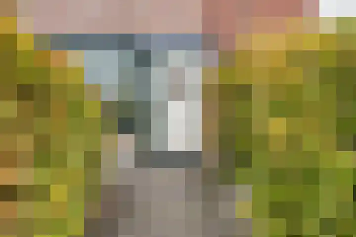 Prinsenlaan 64 Scherpenzeel thumbnail 29
