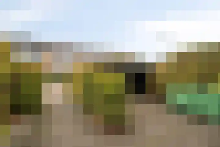 Prinsenlaan 64 Scherpenzeel thumbnail 30