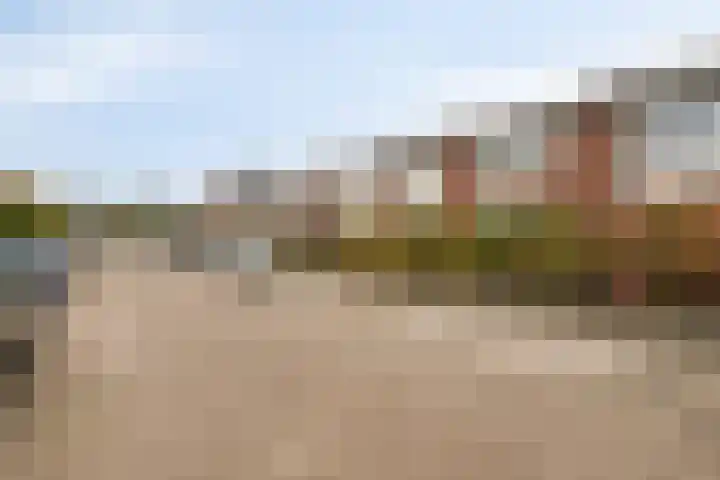 Prinsenlaan 64 Scherpenzeel thumbnail 32