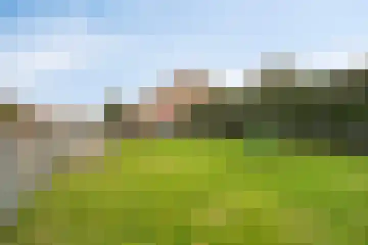 Prinsenlaan 64 Scherpenzeel thumbnail 33