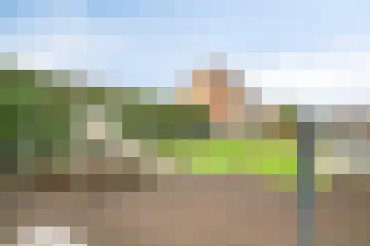 Prinsenlaan 64 Scherpenzeel thumbnail 34