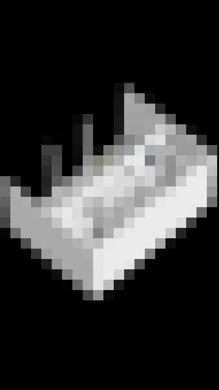 Prinsenlaan 64 Scherpenzeel thumbnail 44