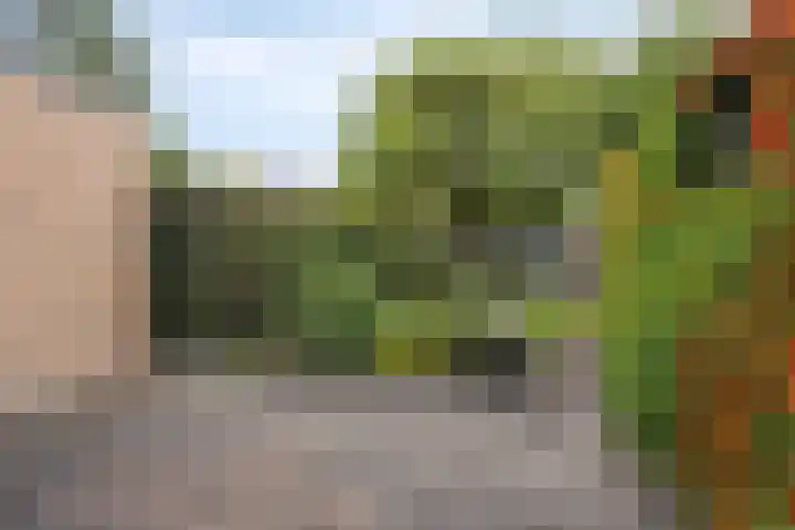 Prinsenlaan 66 Emmen thumbnail 30