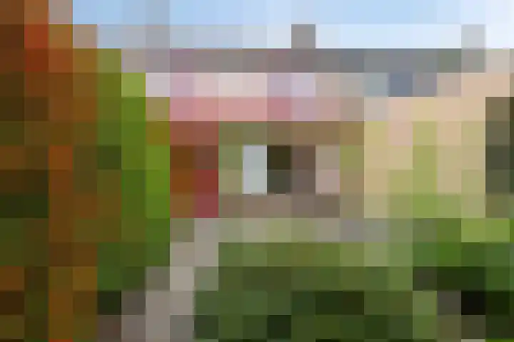 Prinsenlaan 66 Emmen thumbnail 32