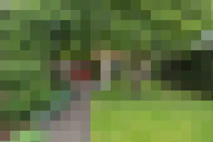 Prinsenlaan 66 Emmen thumbnail 35