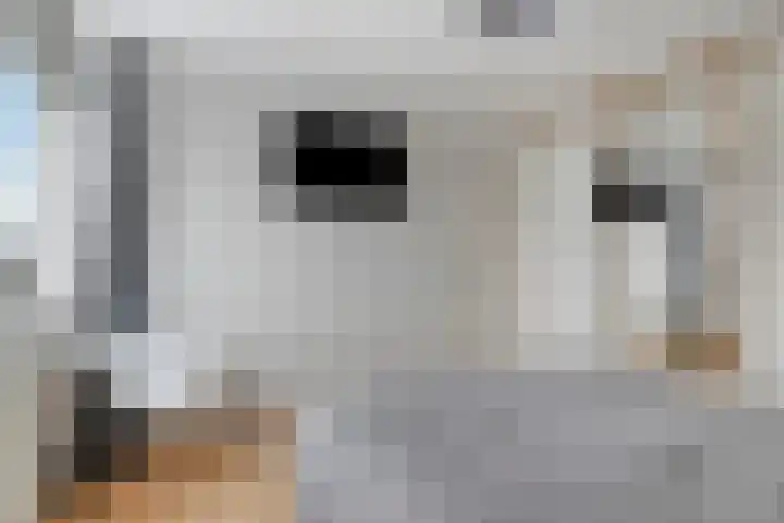 Prinsenlaan 69 Scherpenzeel thumbnail 18
