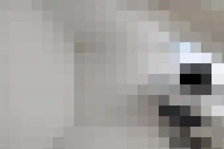 Prinsenlaan 69 Scherpenzeel thumbnail 24