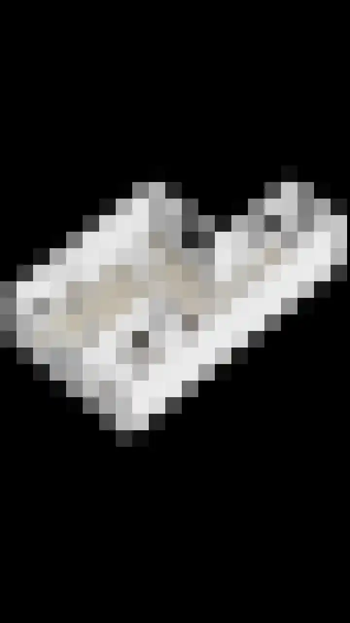 Prinsenlaan 69 Scherpenzeel thumbnail 41