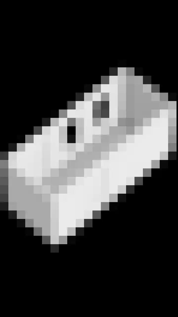 Prinsenlaan 69 Scherpenzeel thumbnail 45