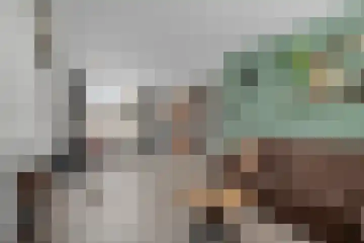 Prinsenlaan 69 Scherpenzeel thumbnail 6