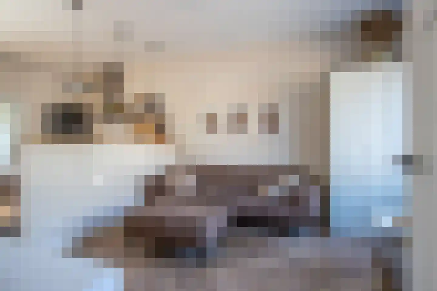 Prinsenlaan 75 Woerden thumbnail 7