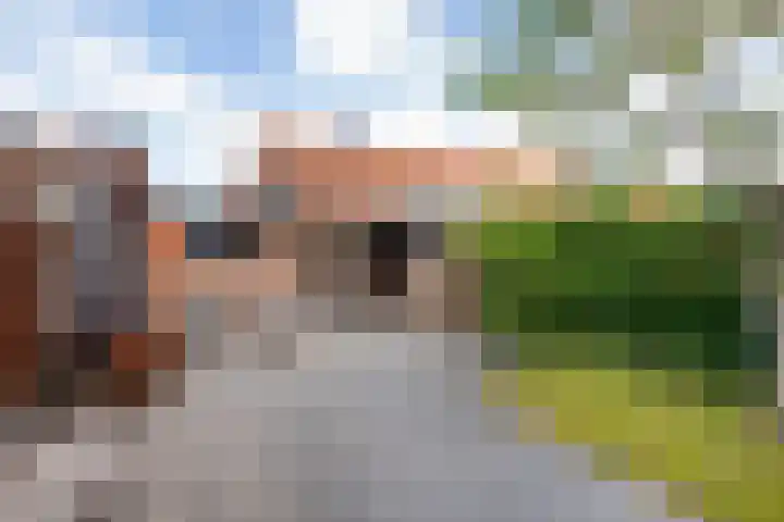 Prinsenlaan 76 Woerden thumbnail 29