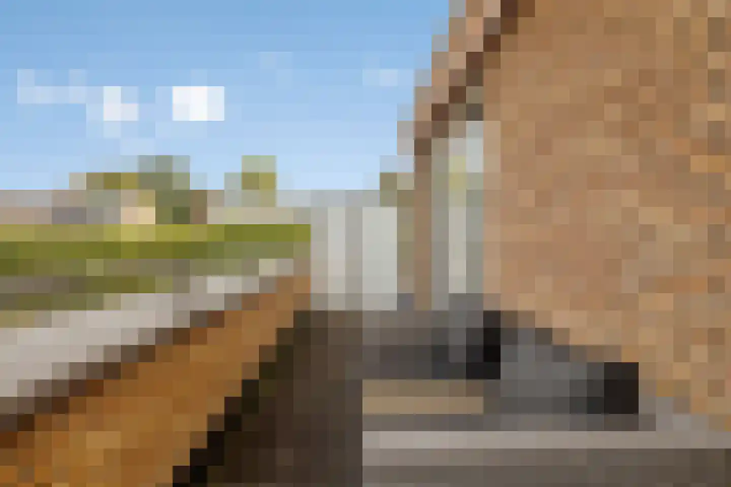 Prinsenlaan 9 a Scherpenzeel thumbnail 23
