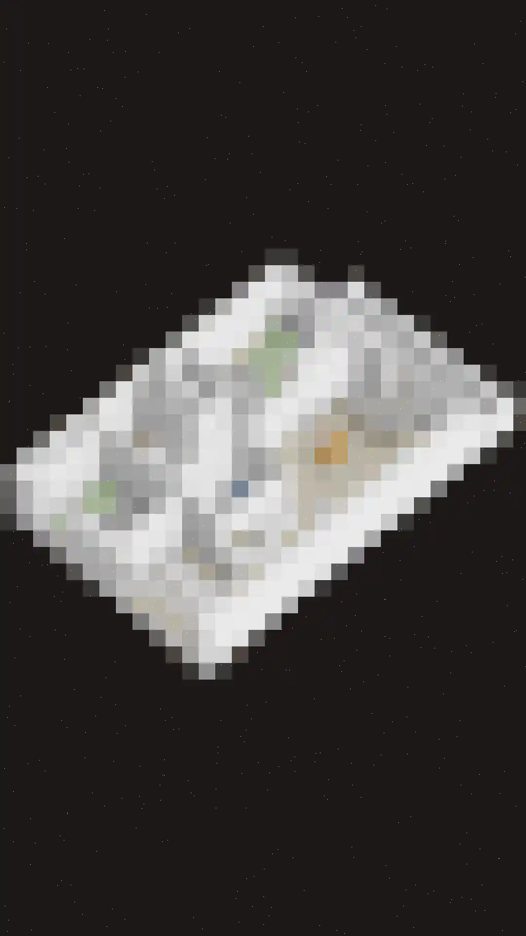 Prinsenlaan 9 a Scherpenzeel thumbnail 37