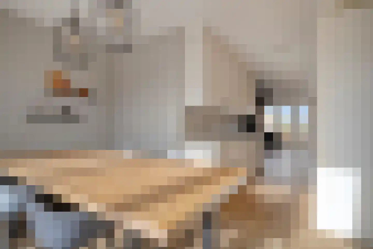Prinsenlaan 9 a Scherpenzeel thumbnail 4