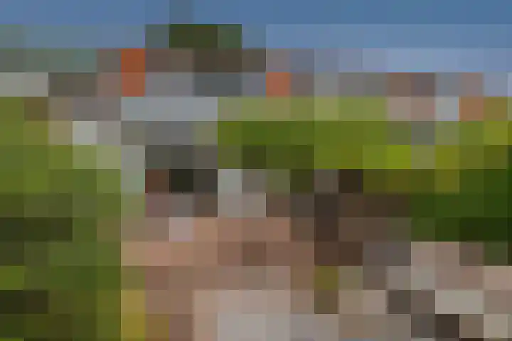 Prinsenlaan 9 Heemstede thumbnail 24