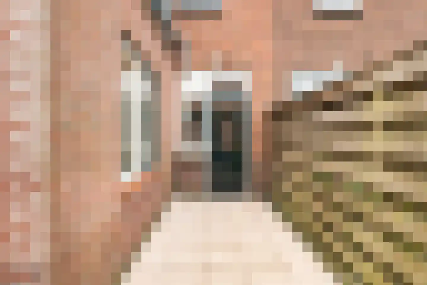 Prinsenlaan 96 Woerden thumbnail 15