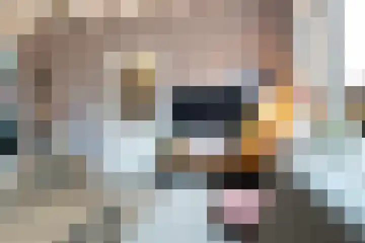 Prinsenlaan 98 Woerden thumbnail 10