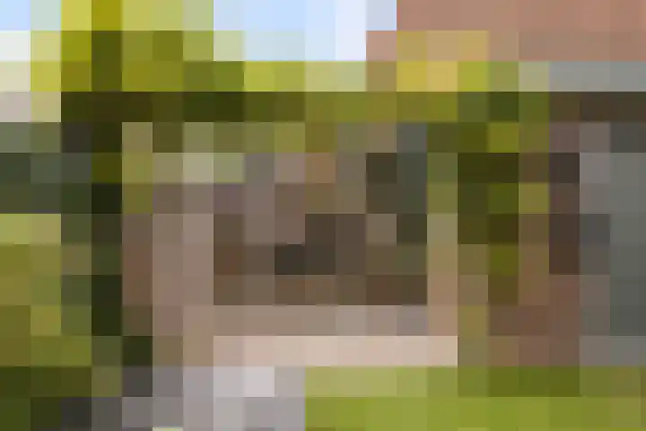 Prinsenlaan 98 Woerden thumbnail 26