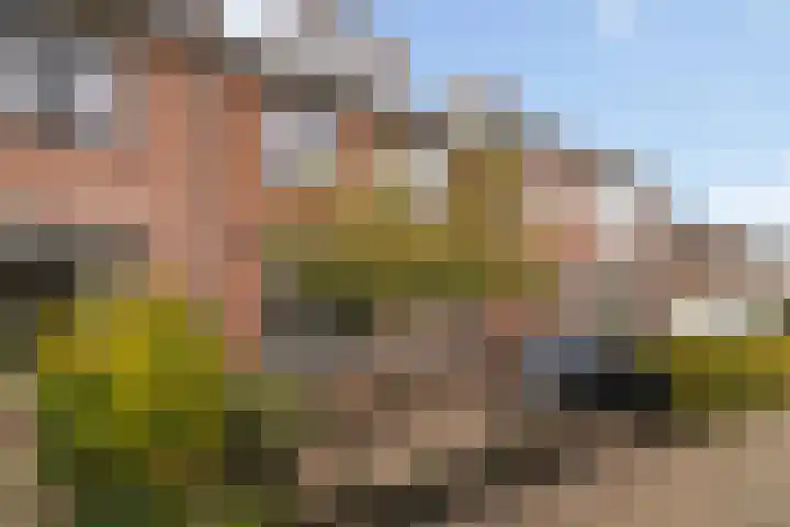 Prinsenlaan 98 Woerden thumbnail 53