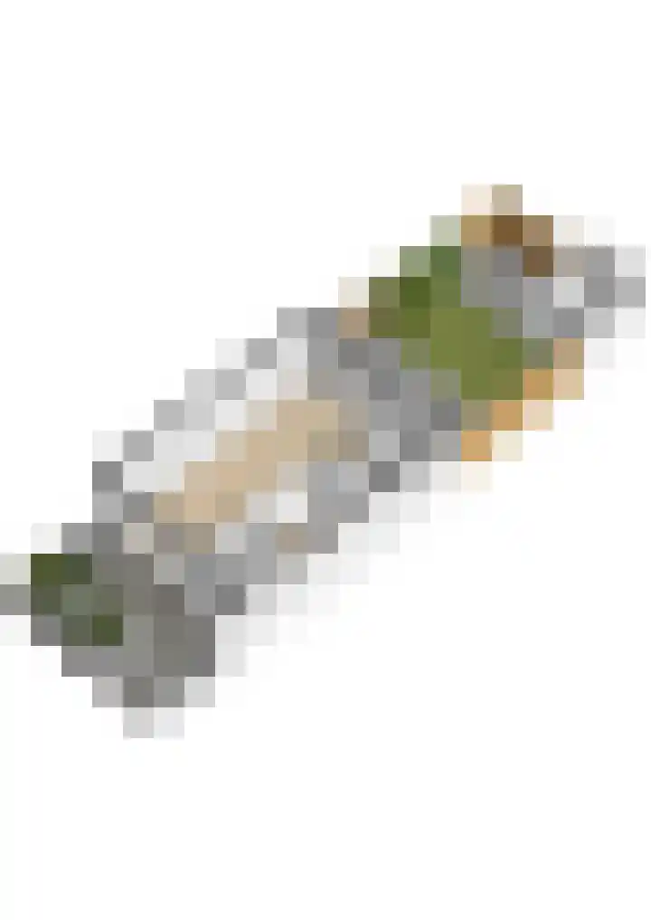 Prinsenlaan 98 Woerden thumbnail 71