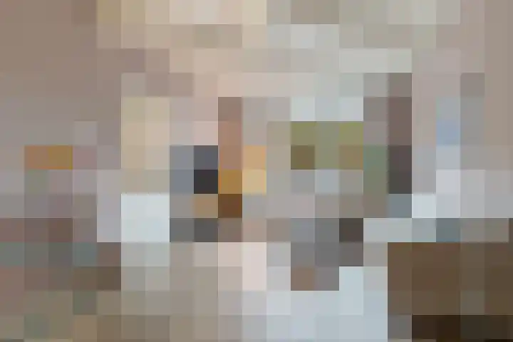 Prinsenlaan 98 Woerden thumbnail 8