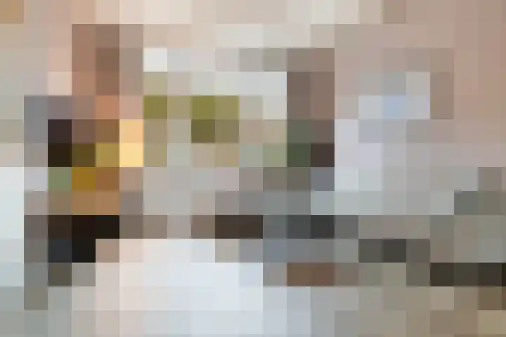 Prinsenlaan 98 Woerden thumbnail 9