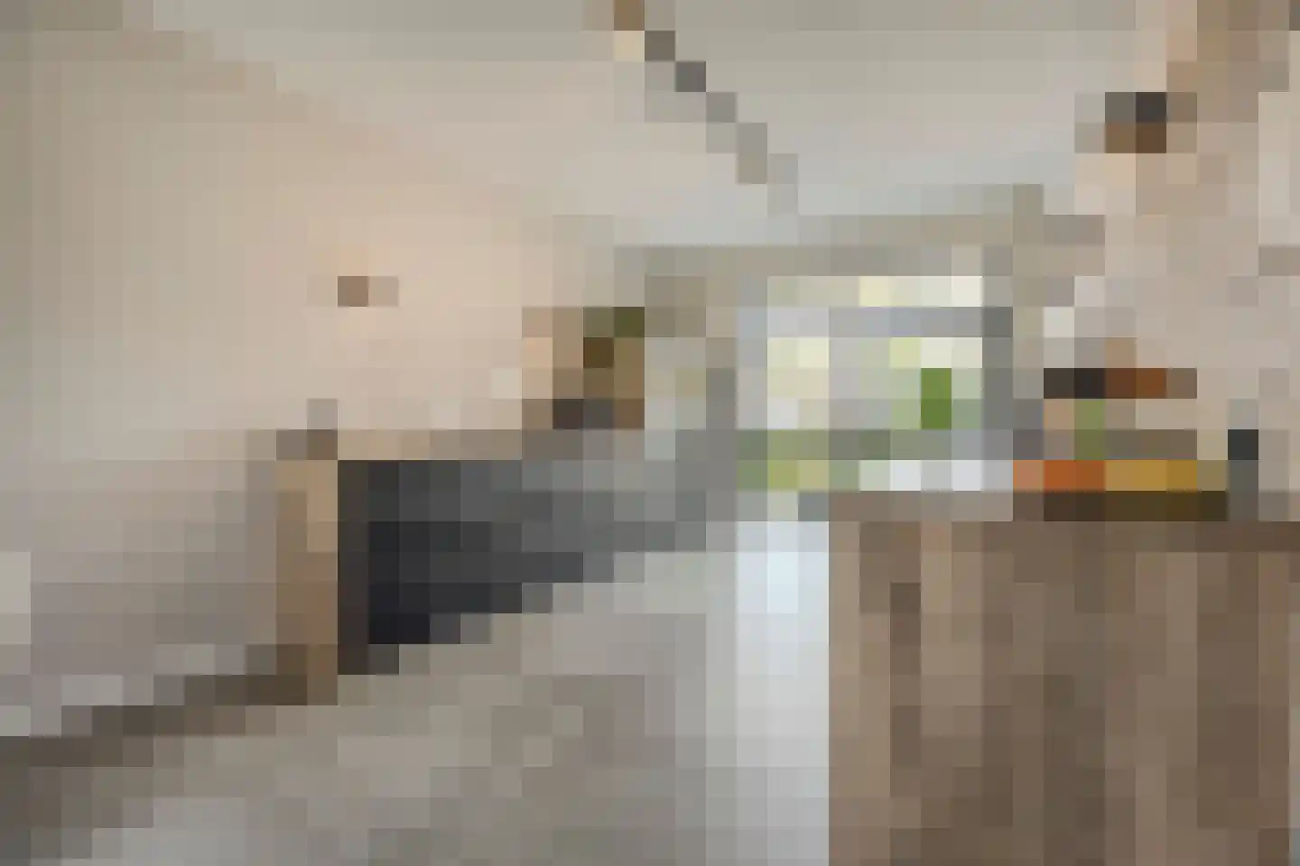 Prinsenland 11 Honselersdijk thumbnail 10