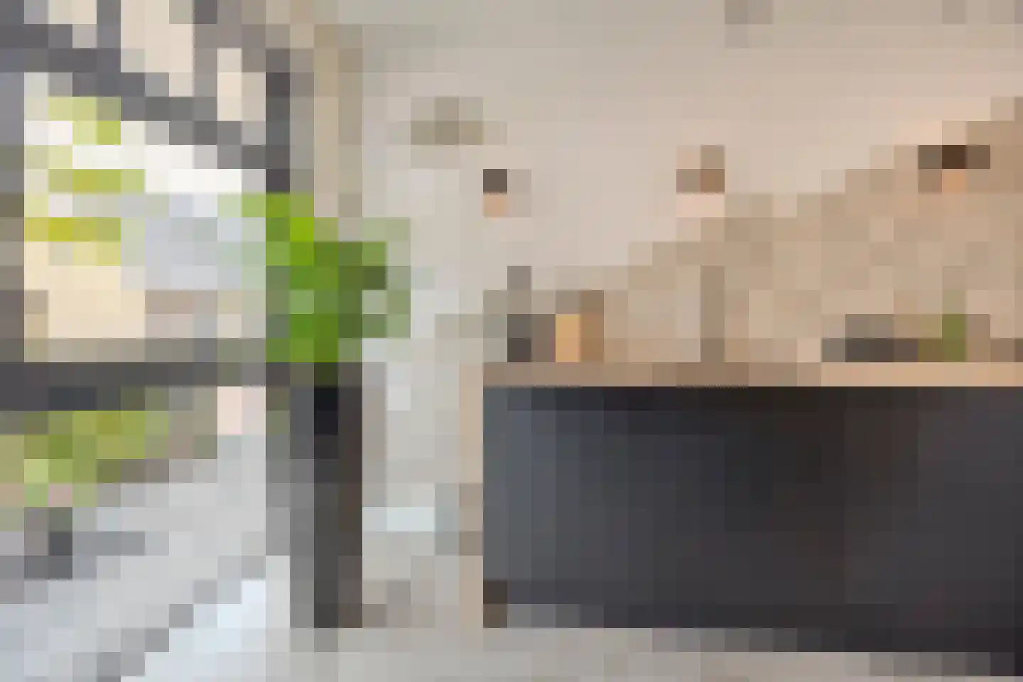 Prinsenland 11 Honselersdijk thumbnail 12