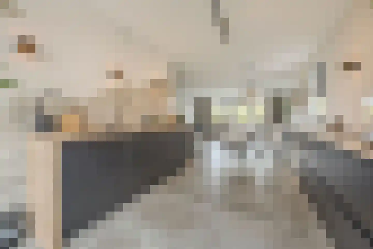 Prinsenland 11 Honselersdijk thumbnail 13