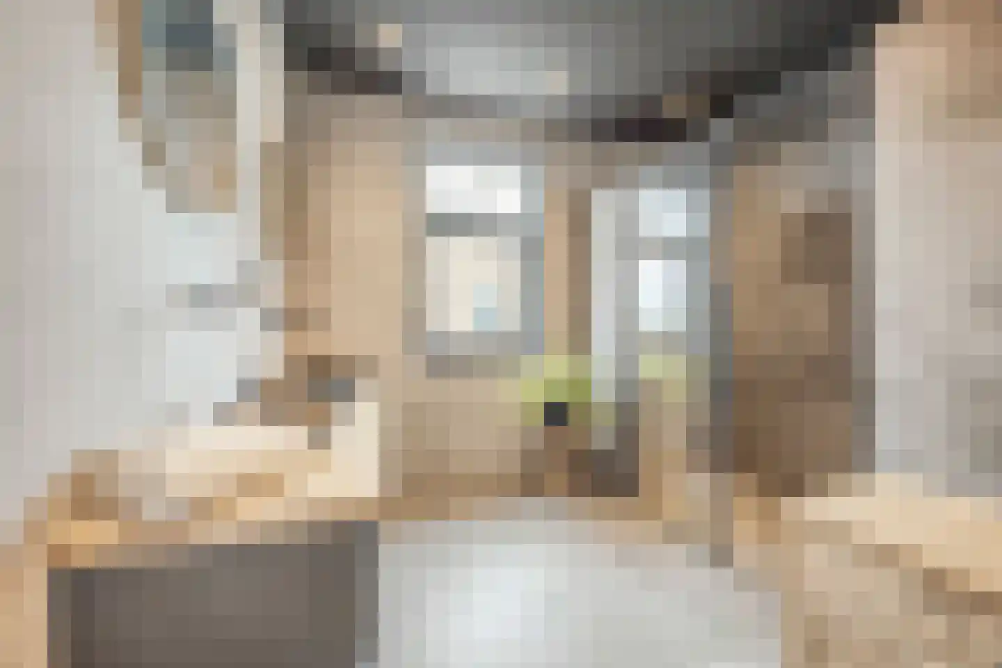 Prinsenland 11 Honselersdijk thumbnail 22
