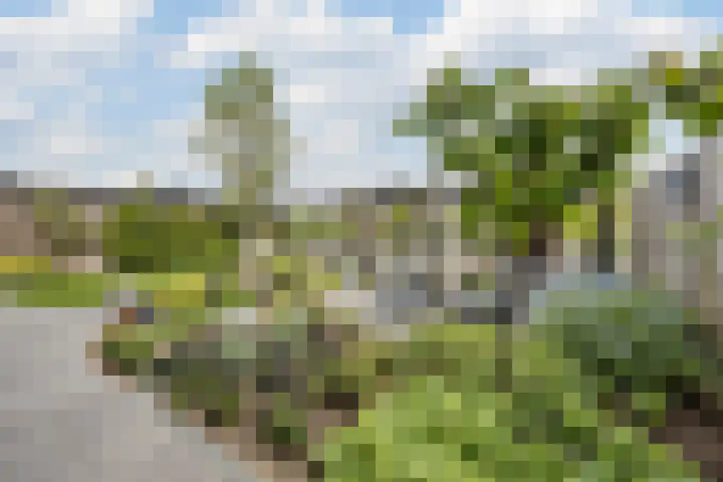 Prinsenland 11 Honselersdijk thumbnail 35