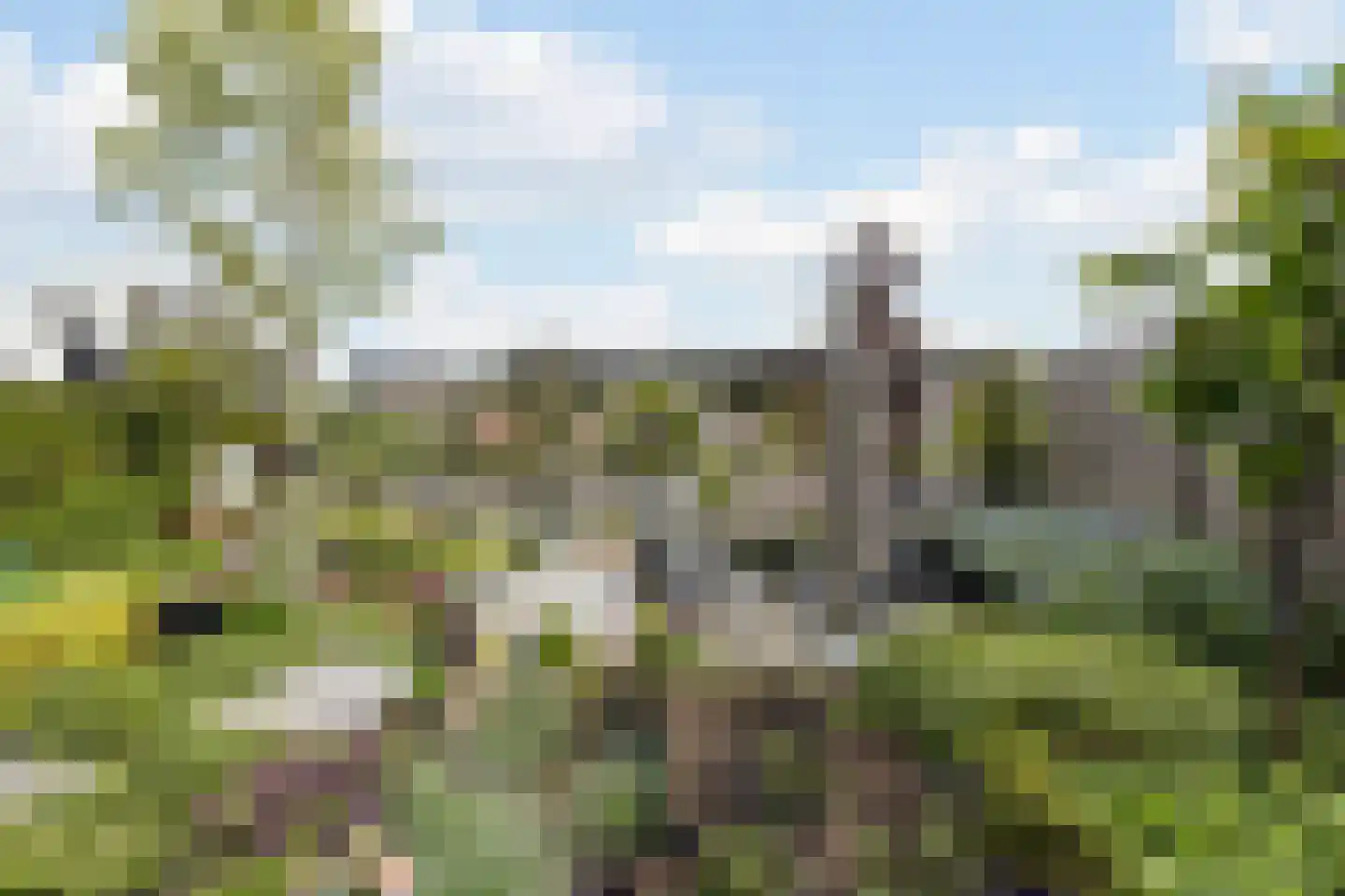 Prinsenland 11 Honselersdijk thumbnail 36