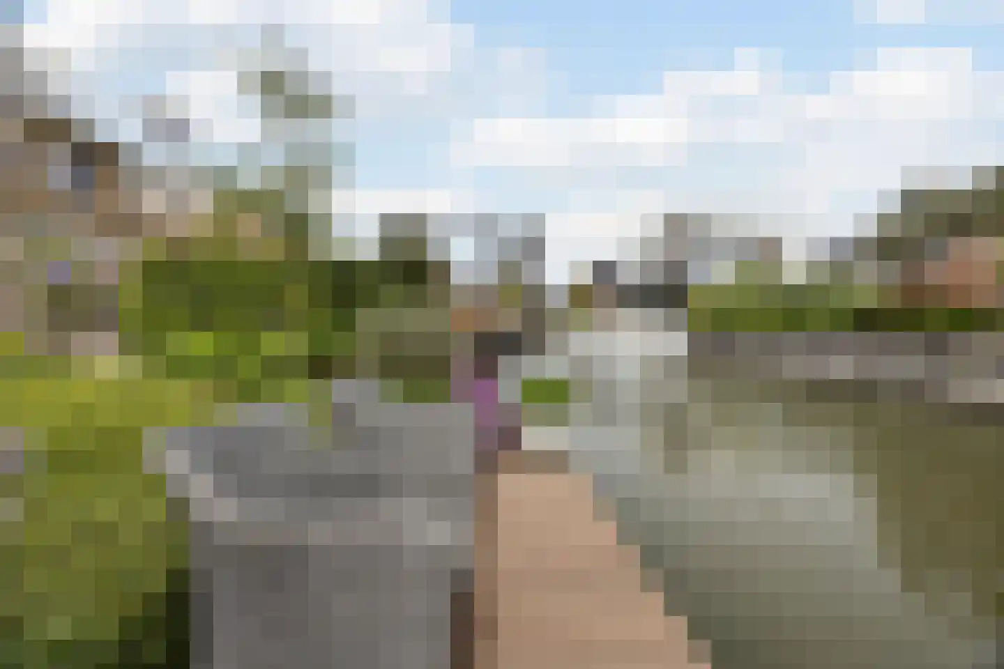 Prinsenland 11 Honselersdijk thumbnail 38