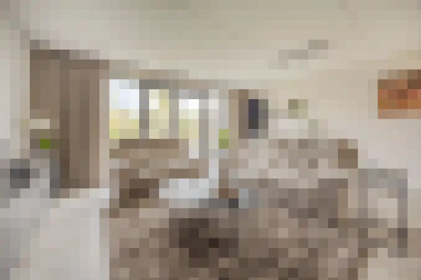 Prinsenland 11 Honselersdijk thumbnail 6