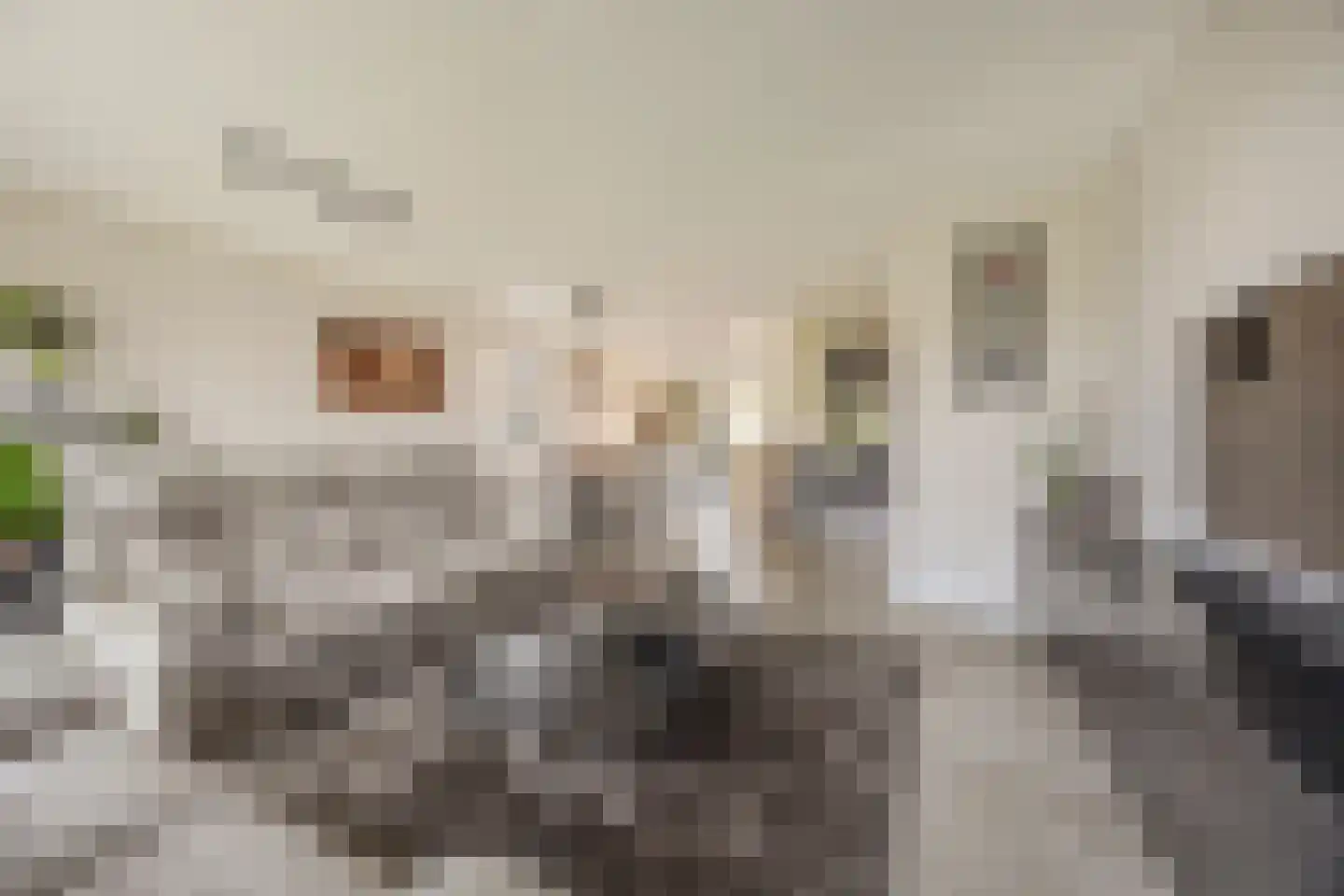 Prinsenland 11 Honselersdijk thumbnail 7