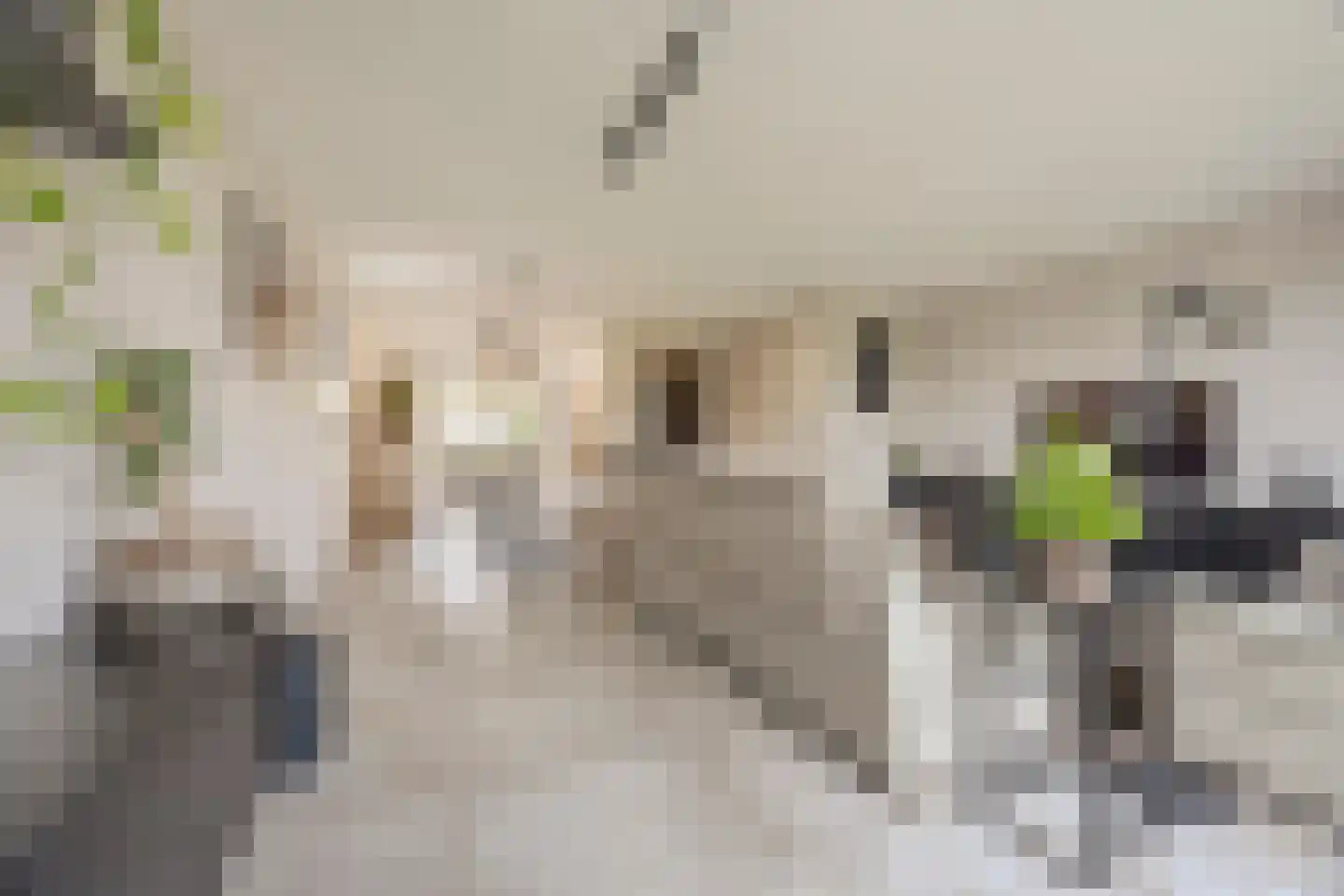 Prinsenland 11 Honselersdijk thumbnail 8
